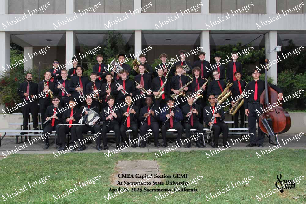 Musical Images
